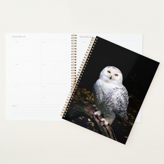 Majestueuze winter sneeuwuil planner (Display)