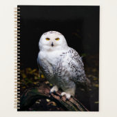 Majestueuze winter sneeuwuil planner (Voorkant)