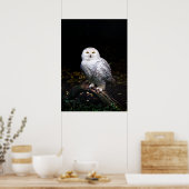 Majestueuze winter sneeuwuil poster (Keuken)