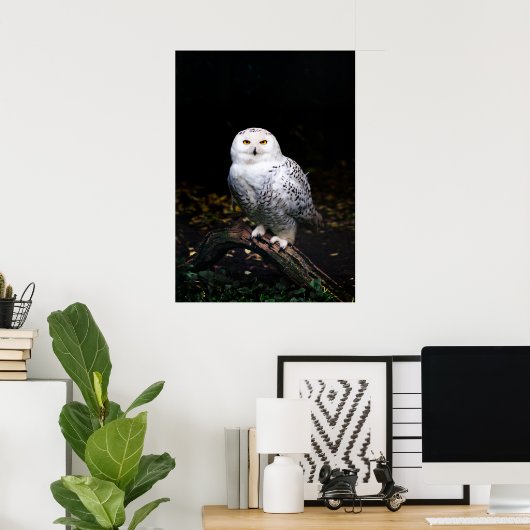 Majestueuze winter sneeuwuil poster (Thuiskantoor)