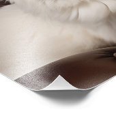 Majestueuze witte kat foto afdruk (Hoek)