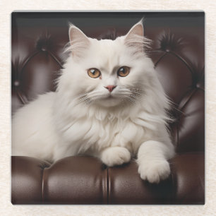 Majestueuze witte kat glazen onderzetter