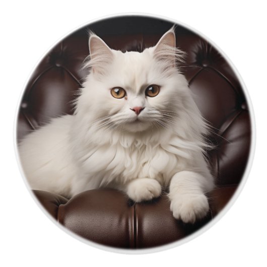 Majestueuze witte kat keramische knop (Voorkant)