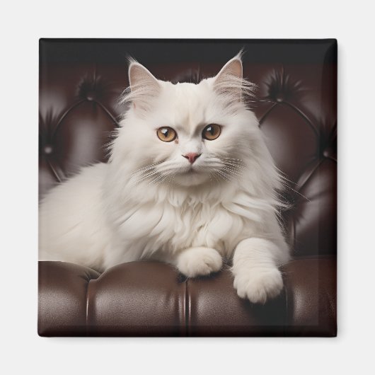 Majestueuze witte kat magneet (Voorkant)