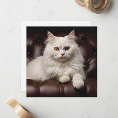 Majestueuze witte kat notitiekaartje (Voorkant / Achterkant in situ)
