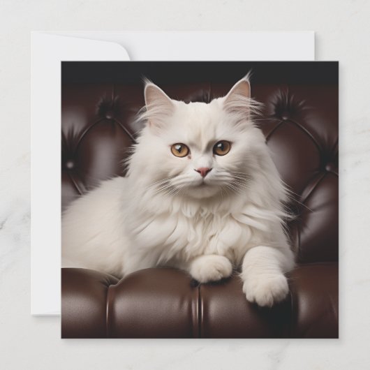 Majestueuze witte kat notitiekaartje (Voorkant)