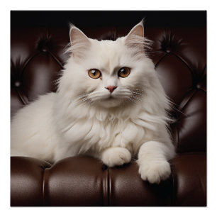 Majestueuze witte kat perfect poster