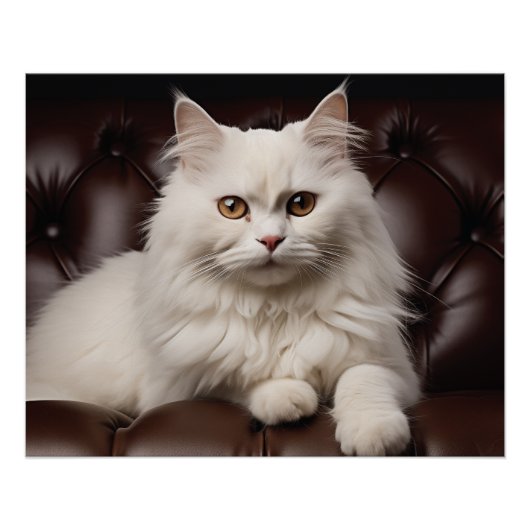 Majestueuze witte kat perfect poster (Voorkant)