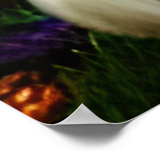 Majestueuze witte leeuw etherische kunst poster (Hoek)