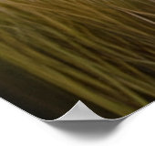 Majestueuze witte leeuw etherische kunst poster (Hoek)