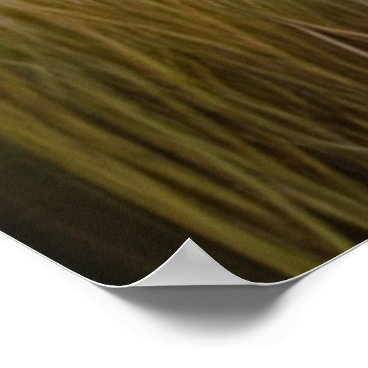 Majestueuze witte leeuw etherische kunst poster (Hoek)