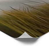 Majestueuze witte leeuw etherische kunst poster (Hoek)