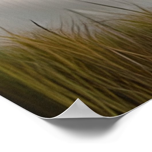 Majestueuze witte leeuw etherische kunst poster (Hoek)