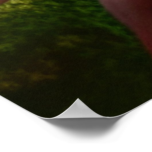 Majestueuze witte leeuw gouden ogen etherische kun poster (Hoek)