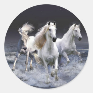 Majestueuze Witte Paarden Ronde Sticker