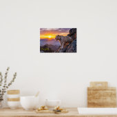 Majestueuze witte tijger zonsondergang  poster (Keuken)