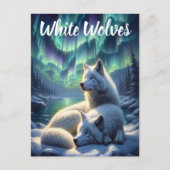 Majestueuze witte wolven in de sneeuw briefkaart (Voorkant)