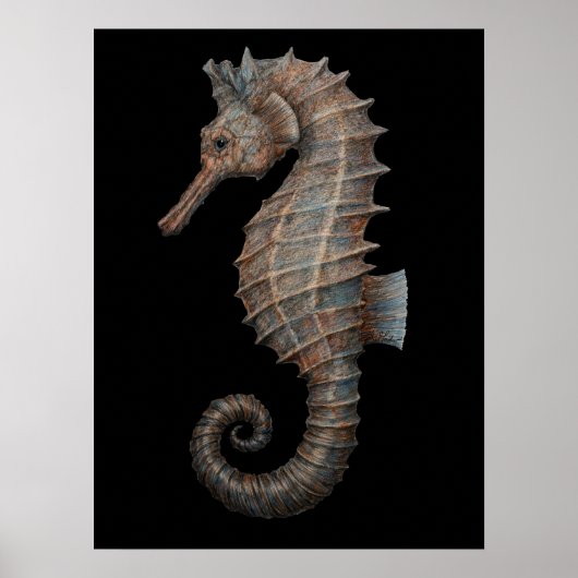 Majestueuze Zeepaard Poster (Voorkant)