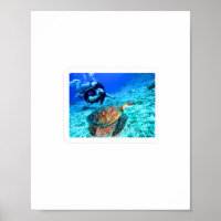 Majestueuze zeeschildpad en duiker - Oceaan Avontu