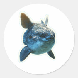 Majestueuze Zonvis (Mola Mola) Sticker - Bali