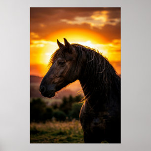 Majestueuze Zwarte Paard Zonsondergang Poster   El