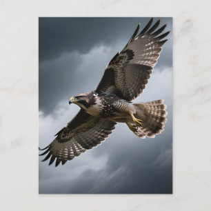 Majestueuze zwevende havik stormwolken briefkaart