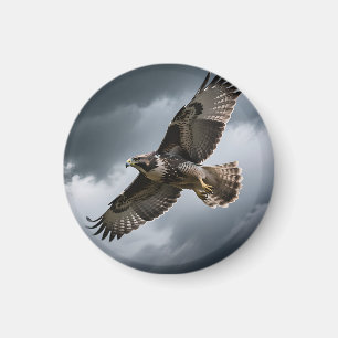 Majestueuze zwevende havik stormwolken magneet