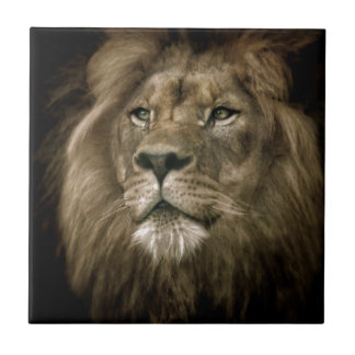 Majesty.jpg Tegeltje