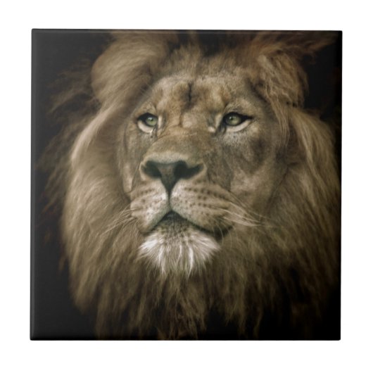 Majesty.jpg Tegeltje (Voorkant)