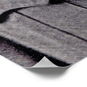 Majoor Sir Ernest Shackleton Poster (Hoek)