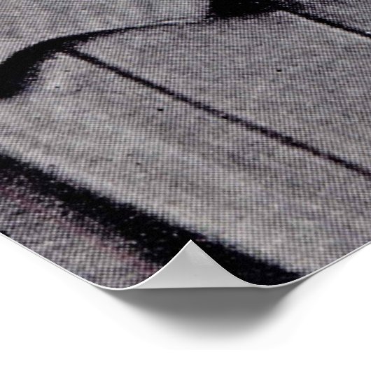 Majoor Sir Ernest Shackleton Poster (Hoek)