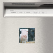 Major Mitchell Cockatoo Magneet (Insitu (Vaatwasser))