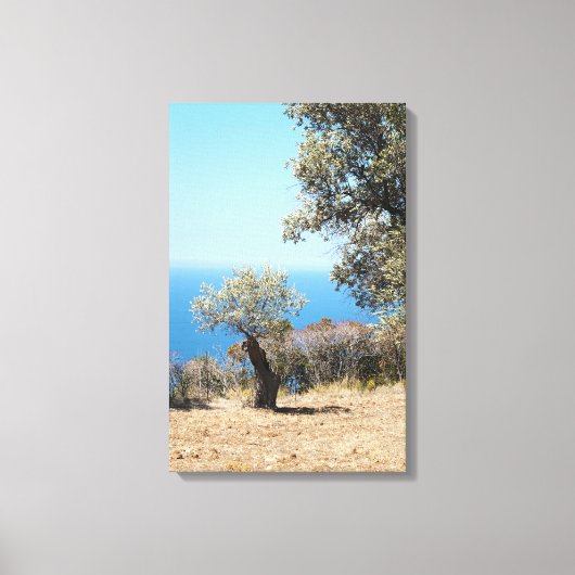 Majorca Ingepakt Canvas Afdruk (Voorkant)