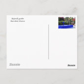 majorelle exotische planten briefkaart (Achterkant)