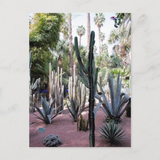 majorelle exotische planten briefkaart (Voorkant)