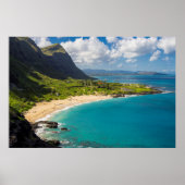 Makapuu Beach Coastline Poster (Voorkant)