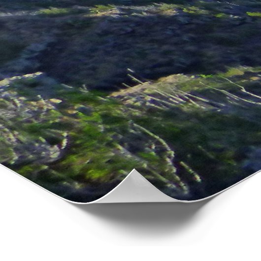 Makapuu Beach Poster (Hoek)
