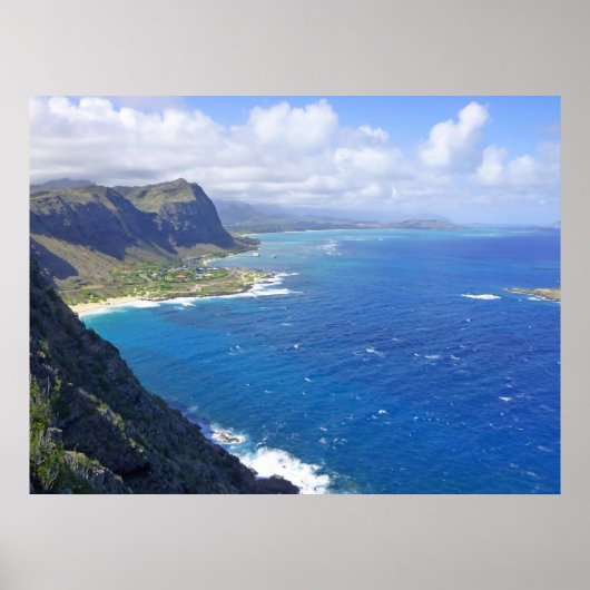 Makapuu Beach Poster (Voorkant)