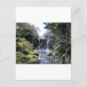 Makaroa Waterfall Briefkaart (Voorkant)