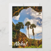 Makauwahi Cave Palm Trees, Kauai, Hawaii Kaart (Voorkant)