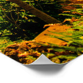 Makauwahi Cave Palm Trees, Kauai, Hawaii Poster (Hoek)