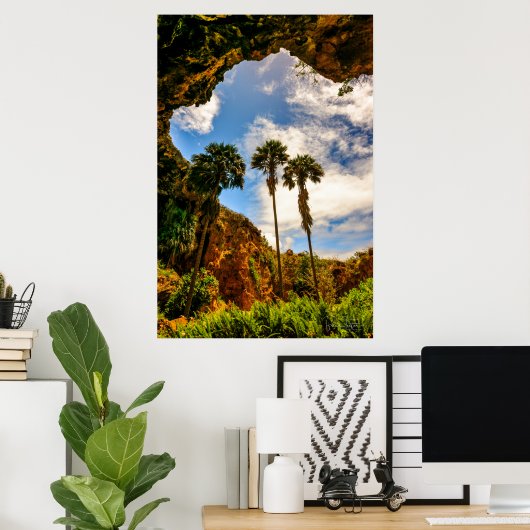 Makauwahi Cave Palm Trees, Kauai, Hawaii Poster (Thuiskantoor)