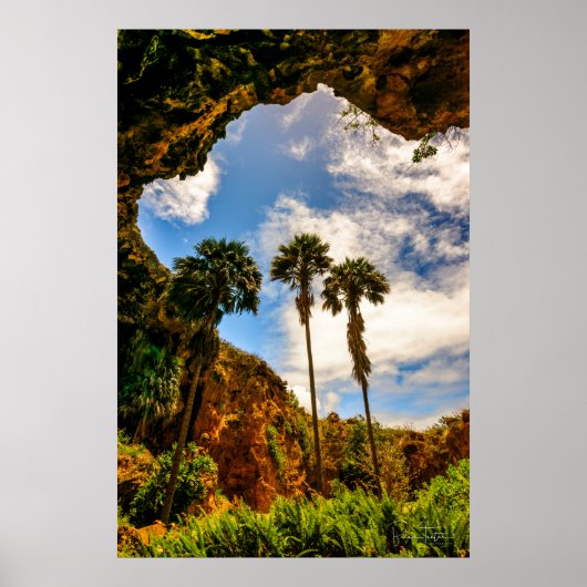 Makauwahi Cave Palm Trees, Kauai, Hawaii Poster (Voorkant)