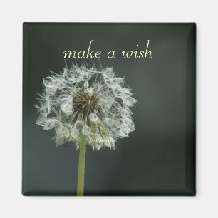 make a wish magneet