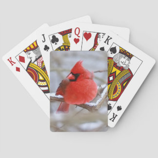 Make_Cardinal_Cards Pokerkaarten