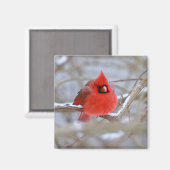 Make_Cardinal_Magnet Magneet (Voorkant / Achterkant)