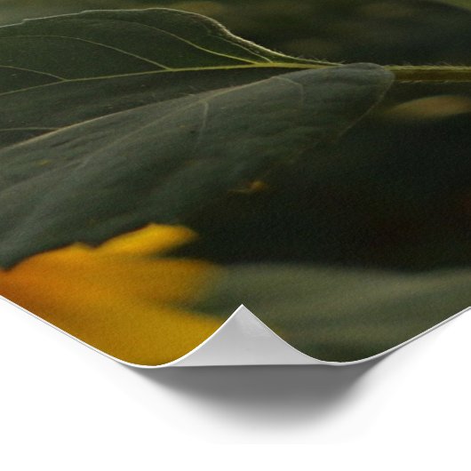 "Make Everyday Count" Positive Quotation Wall art Poster (Hoek)