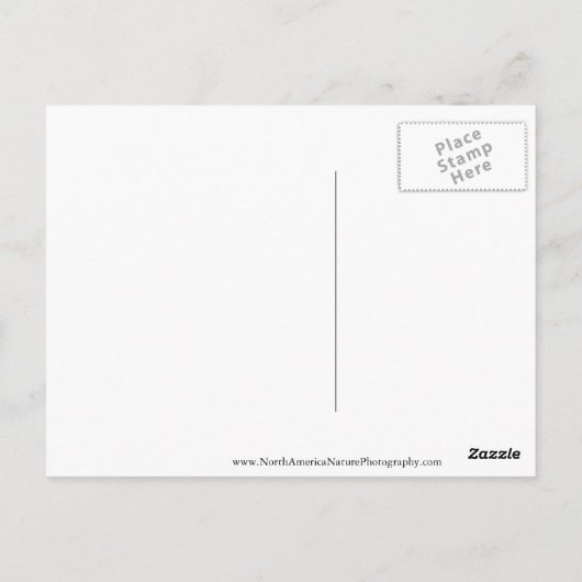 Make Memories Map Briefkaart (Achterkant)