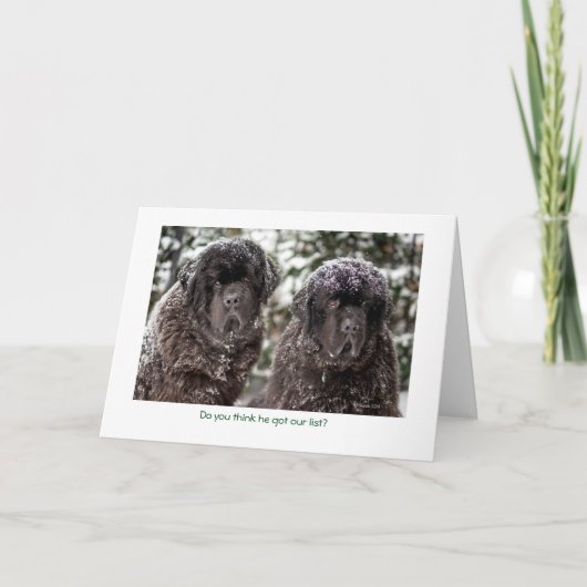 Makend een Lijst… zijn wij Goed geweest! Feestdagen Kaart (Voorkant)