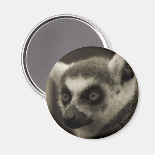 maki-gezicht magneet (Voorkant / Achterkant)